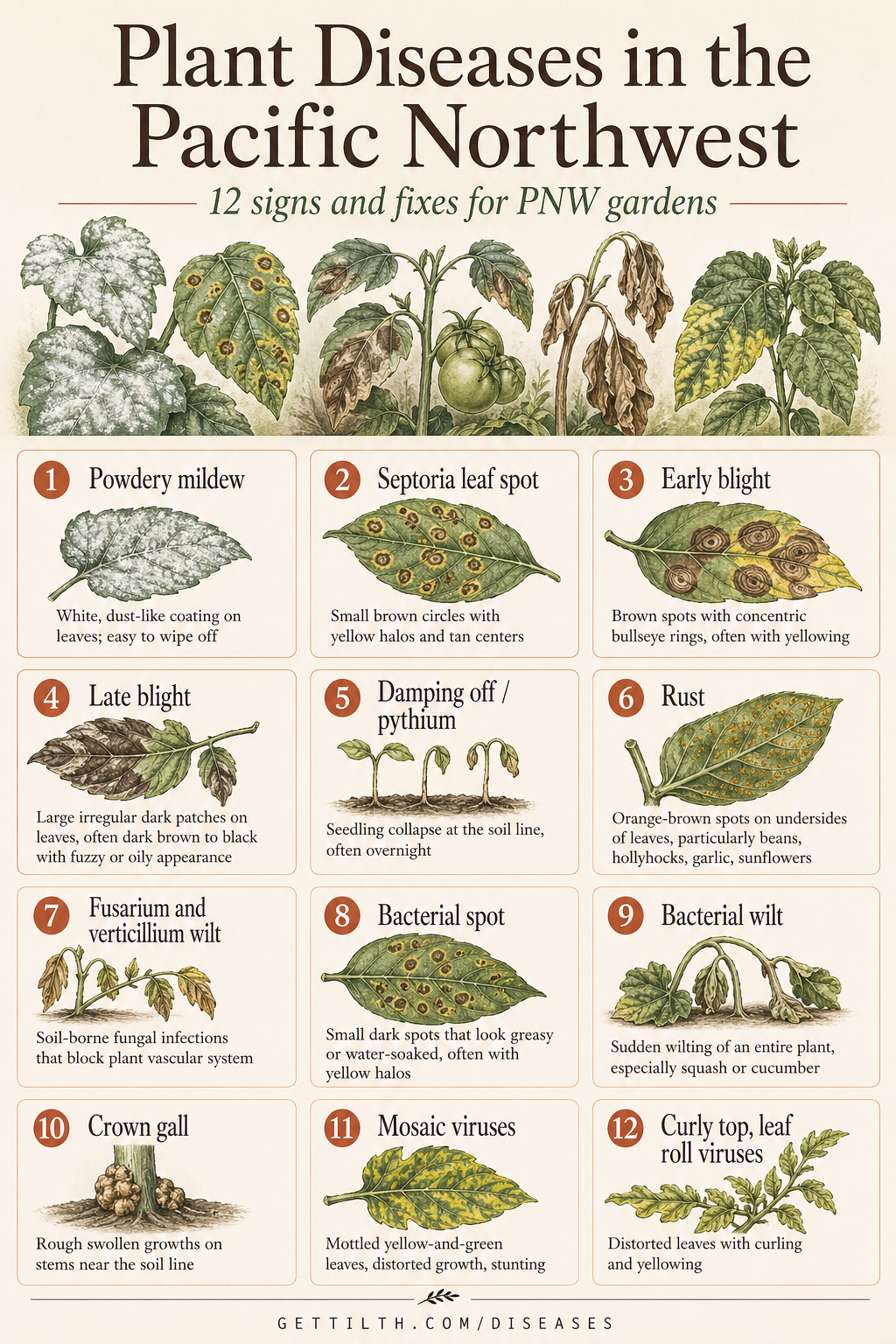 Plant diseases guide pin