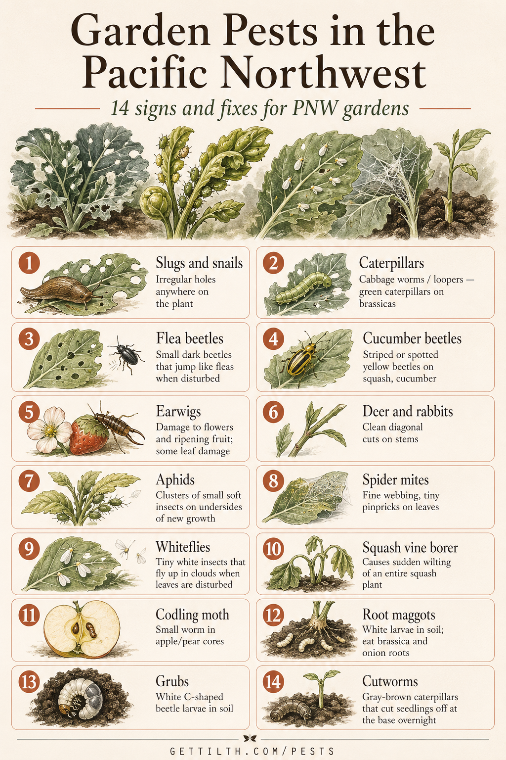 Garden pests guide pin