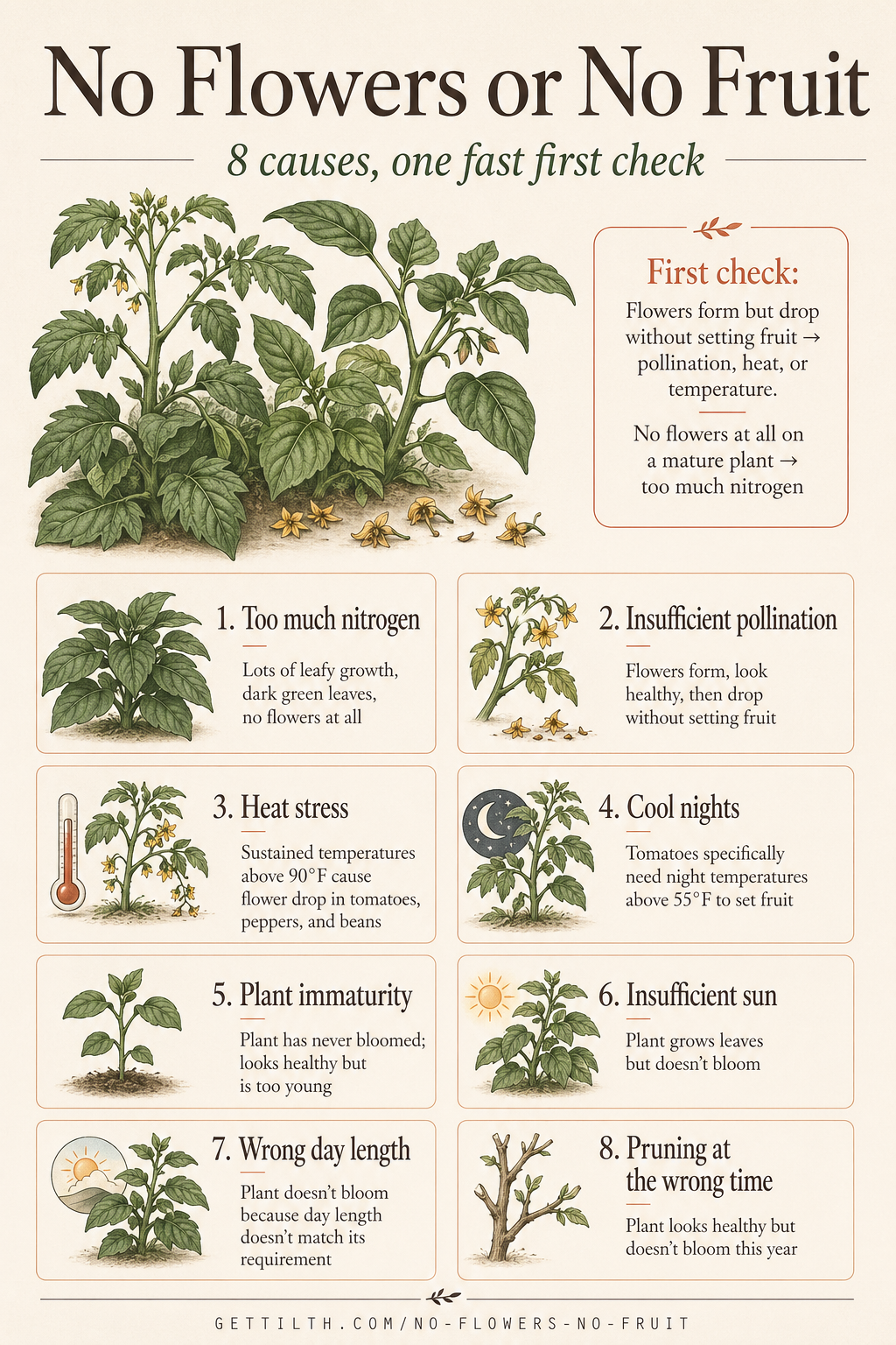 No flowers no fruit causes diagnosis pin