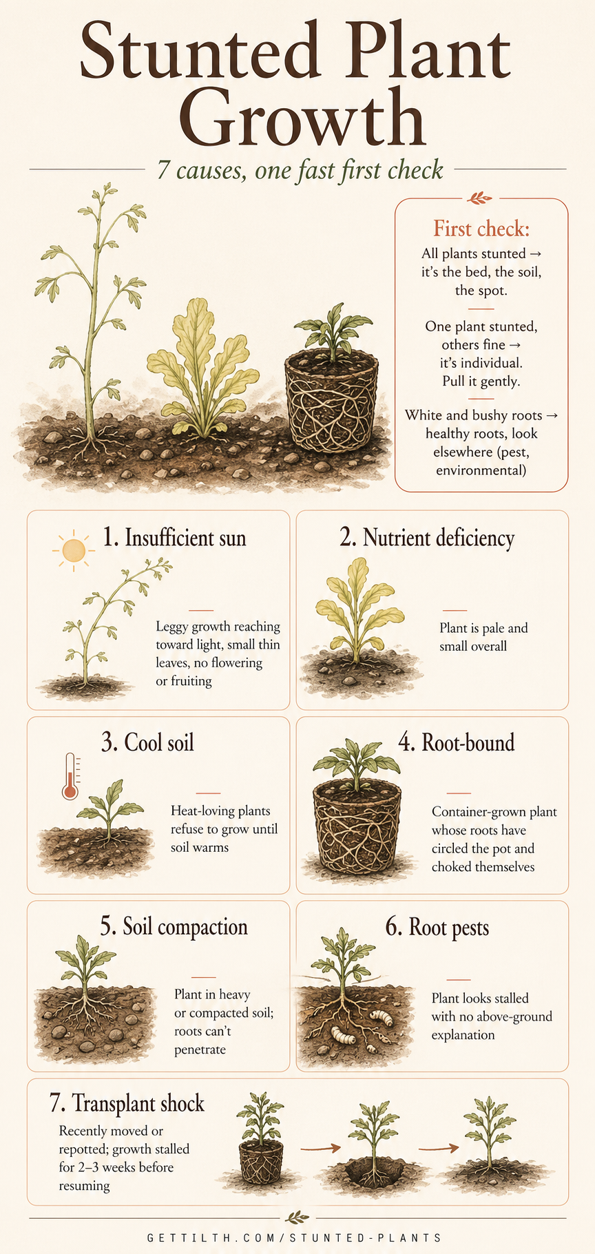 Stunted plants causes diagnosis pin